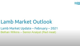 Lamb Market Update February 2021